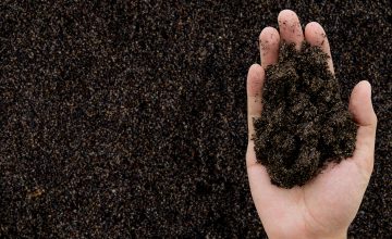 Soil in hand with earth background -Environment concept.
